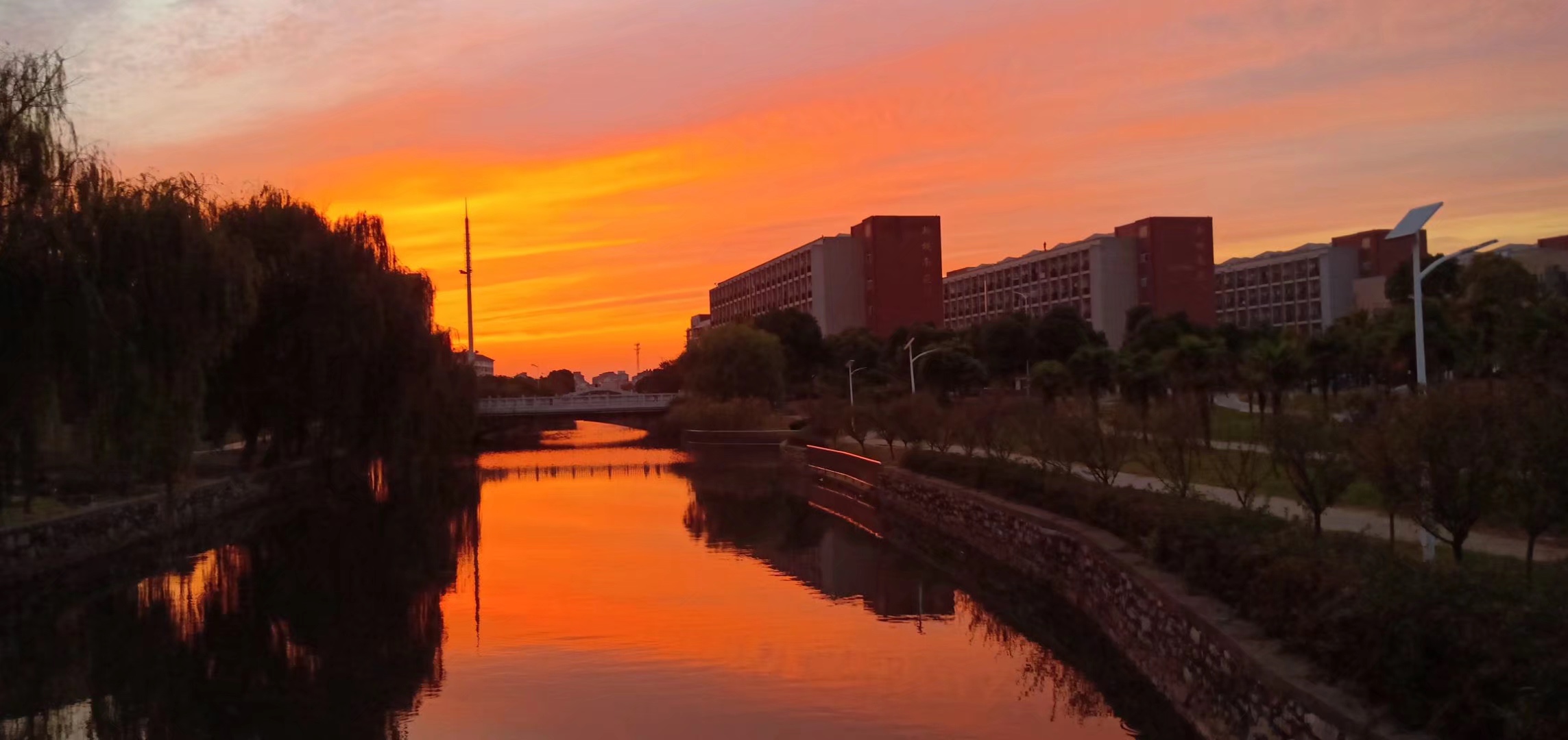 反映了我校的校园风景,生活,学习,作品内容也很丰富,有唯美灿烂的校园