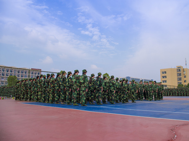 IMGP3669.jpg IMGP3669.jpg